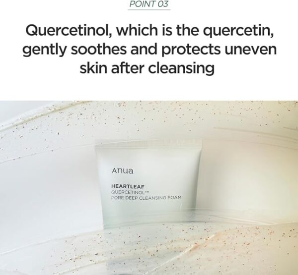 Heartleaf Quercetinol Pore Deep Cleansing Foam - Image 5